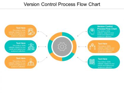Version control process flow chart ppt powerpoint presentation model portfolio cpb
