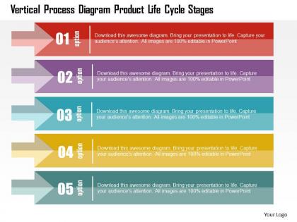 Vertical process diagram product life cycle stages flat powerpoint design