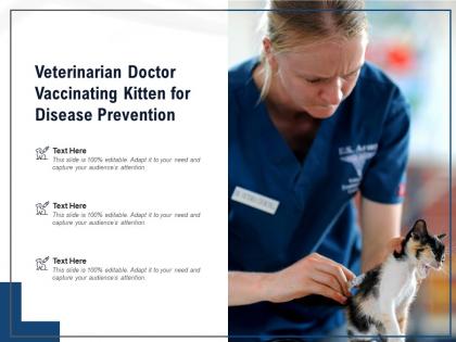 Veterinarian doctor vaccinating kitten for disease prevention