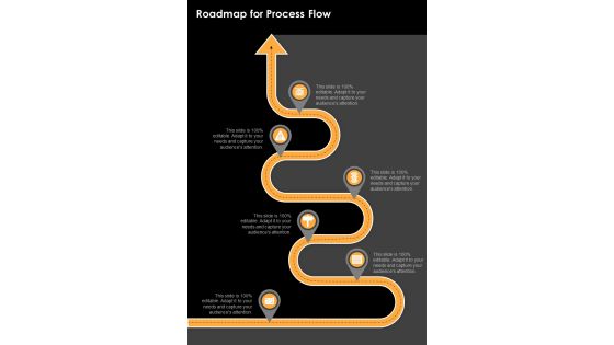 Videography Proposal Roadmap For Process Flow One Pager Sample Example Document