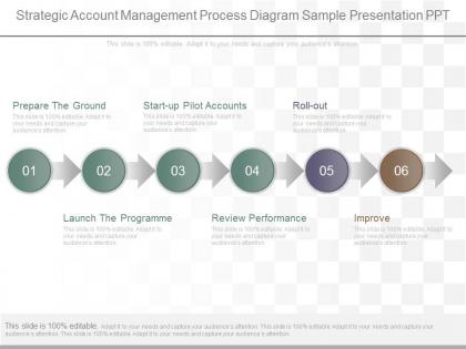 View strategic account management process diagram sample presentation ppt