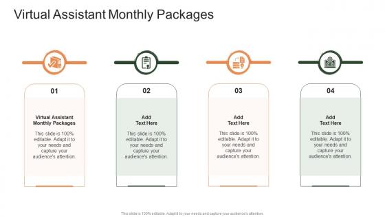 Virtual Assistant Monthly Packages In Powerpoint And Google Slides Cpb