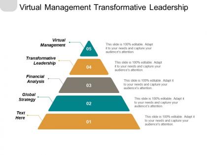 Virtual management transformative leadership financial analysis global strategy cpb