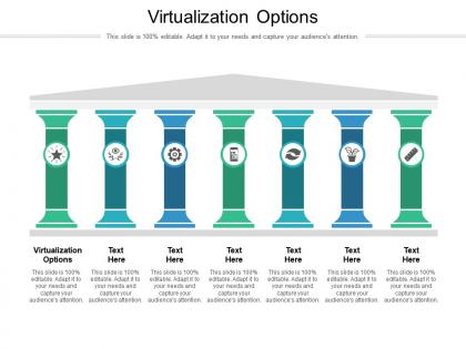 Virtualization options ppt powerpoint presentation outline brochure cpb