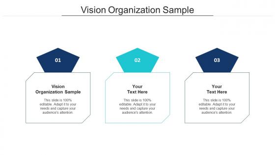 Vision Organization Sample Ppt Powerpoint Presentation Show Graphic Tips Cpb