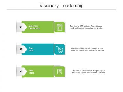 Visionary leadership ppt powerpoint presentation pictures designs cpb