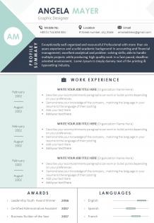 Visual resume format template for job seekers