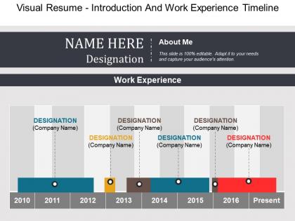 Visual resume introduction and work experience timeline example of ppt