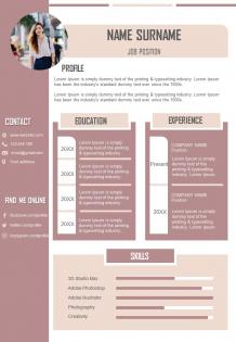 Visual resume template cv design with experience and skills