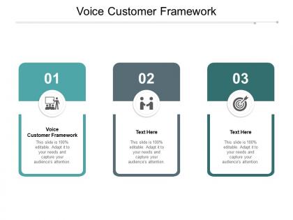 Voice customer framework ppt powerpoint presentation layouts visual aids cpb