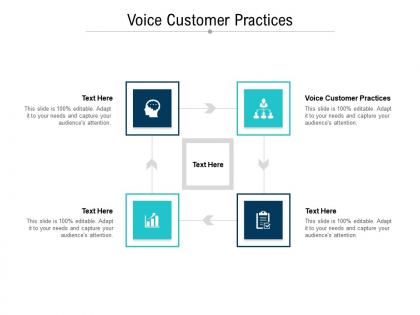 Voice customer practices ppt powerpoint presentation ideas outfit cpb