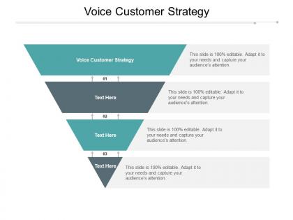 Voice customer strategy ppt powerpoint presentation summary format cpb