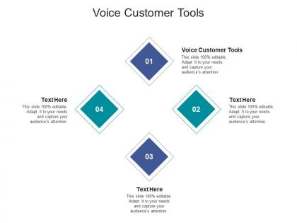 Voice customer tools ppt powerpoint presentation ideas example file cpb