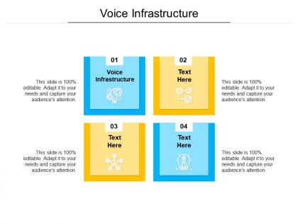 Voice infrastructure ppt powerpoint presentation gallery graphics cpb