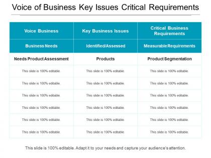 Voice of business key issues critical requirements