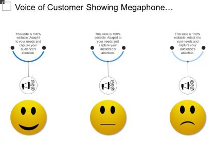 Voice of customer showing megaphone with 3 options