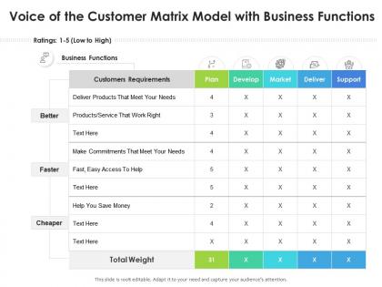 Voice of the customer matrix model with business functions