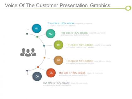 Voice of the customer presentation graphics