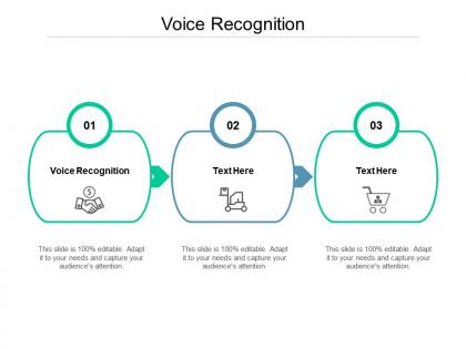 Voice recognition ppt powerpoint presentation portfolio files cpb