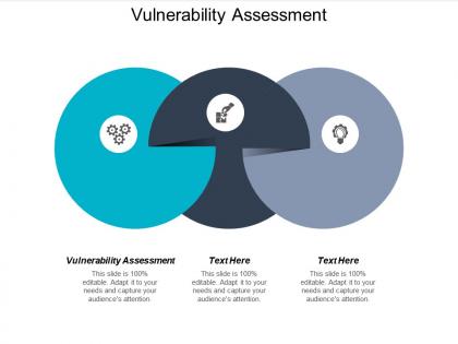 Vulnerability assessment ppt powerpoint presentation styles templates cpb