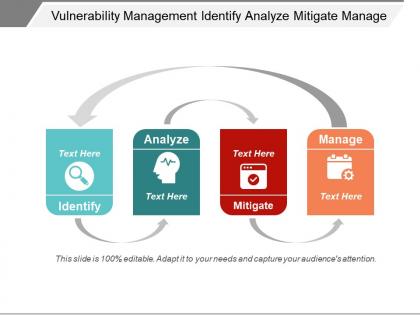 Vulnerability management identify analyze mitigate manage