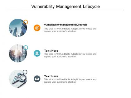 Vulnerability management lifecycle ppt powerpoint presentation outline graphics tutorials cpb