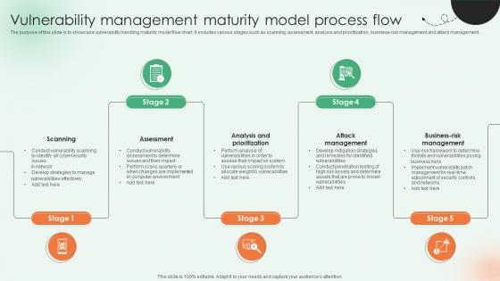 Vulnerability Management Maturity Model Process Flow