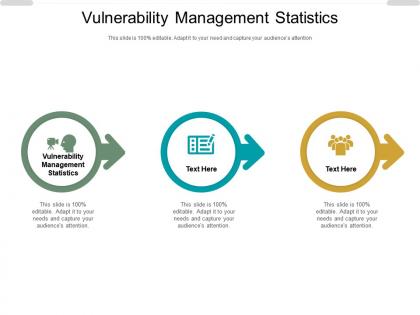 Vulnerability management statistics ppt powerpoint presentation professional clipart cpb
