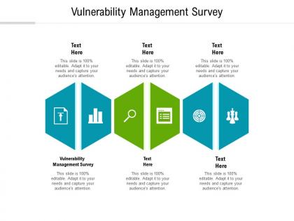 Vulnerability management survey ppt powerpoint presentation infographics skills cpb