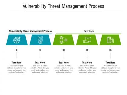 Vulnerability threat management process ppt powerpoint presentation professional show cpb