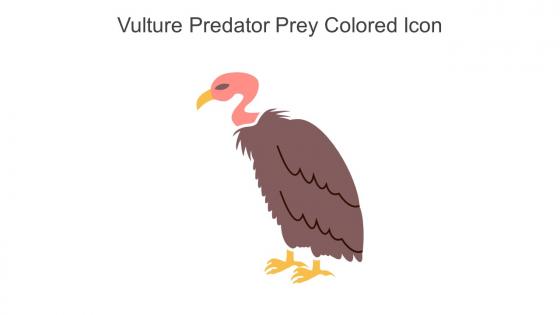 Vulture Predator Prey Colored Icon In Powerpoint Pptx Png And Editable Eps Format