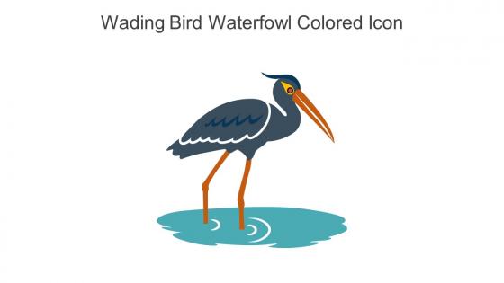 Wading Bird Waterfowl Colored Icon In Powerpoint Pptx Png And Editable Eps Format