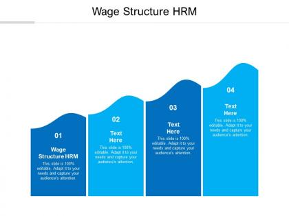 Wage structure hrm ppt powerpoint presentation infographics background images cpb