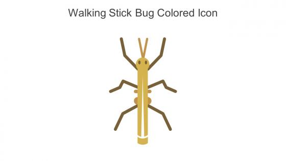 Walking Stick Bug Colored Icon In Powerpoint Pptx Png And Editable Eps Format