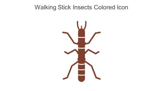 Walking Stick Insects Colored Icon In Powerpoint Pptx Png And Editable Eps Format