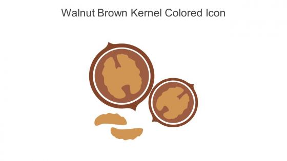 Walnut Brown Kernel Colored Icon In Powerpoint Pptx Png And Editable Eps Format