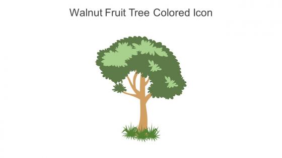 Walnut Fruit Tree Colored Icon In Powerpoint Pptx Png And Editable Eps Format