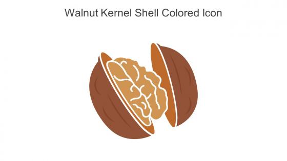 Walnut Kernel Shell Colored Icon In Powerpoint Pptx Png And Editable Eps Format