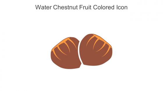 Water Chestnut Fruit Colored Icon In Powerpoint Pptx Png And Editable Eps Format