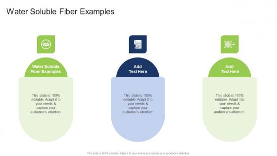 Water Soluble Fiber Examples In Powerpoint And Google Slides Cpb