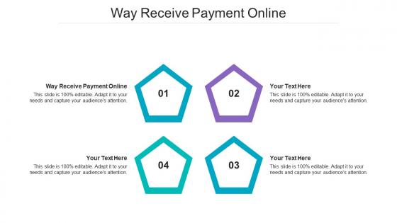 Way Receive Payment Online Ppt Powerpoint Presentation Gallery Mockup Cpb