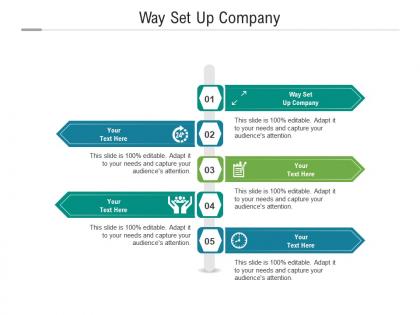 Way set up company ppt powerpoint presentation gallery format cpb