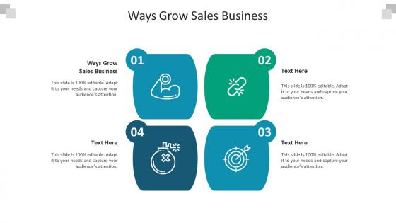 Ways grow sales business ppt powerpoint presentation file maker cpb