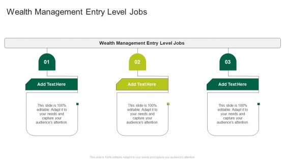 Wealth Management Entry Level Jobs In Powerpoint And Google Slides Cpb