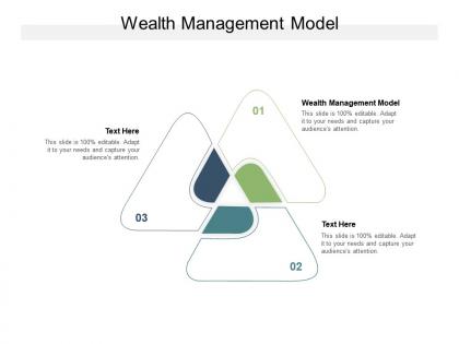Wealth management model ppt powerpoint presentation professional grid cpb