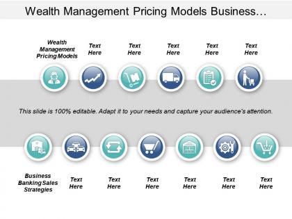 Wealth management pricing models business banking sales strategies strategic segmentation cpb