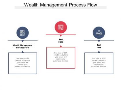 Wealth management process flow ppt powerpoint presentation styles example introduction cpb