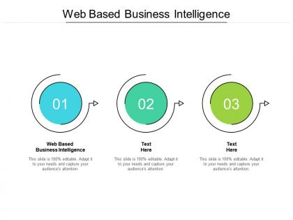 Web based business intelligence ppt powerpoint presentation layouts diagrams cpb