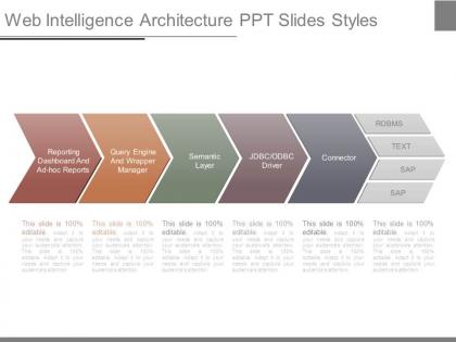 Web intelligence architecture ppt slides styles