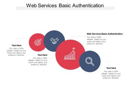 Web services basic authentication ppt powerpoint presentation professional elements cpb